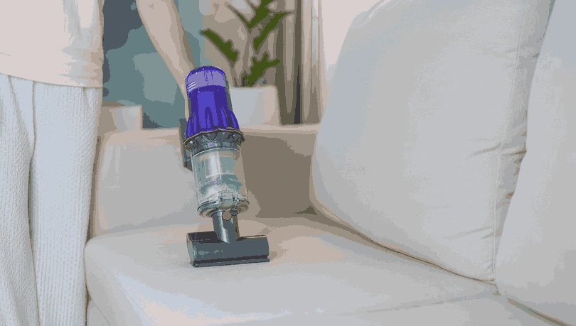 Professional Upholstery Cleaning Wandana Heights