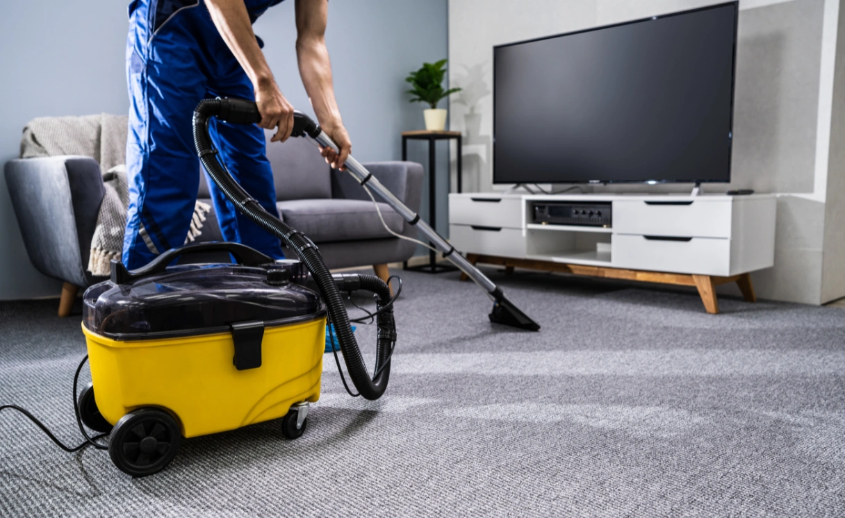 Extract Upholstery Cleaning Wandana Heights Contact Office